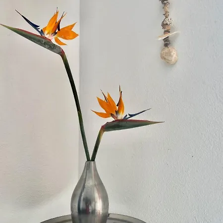 Apartamento In Mit Schoenem Garten Uga