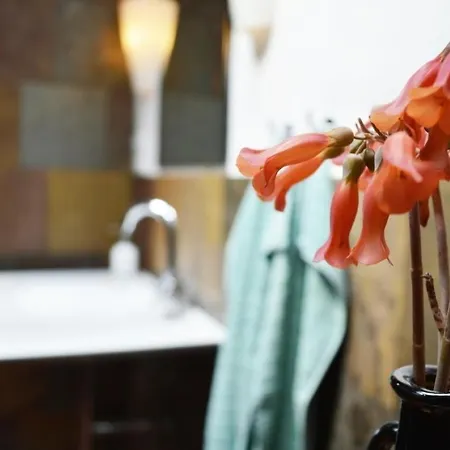 Apartamento In Mit Schoenem Garten Uga